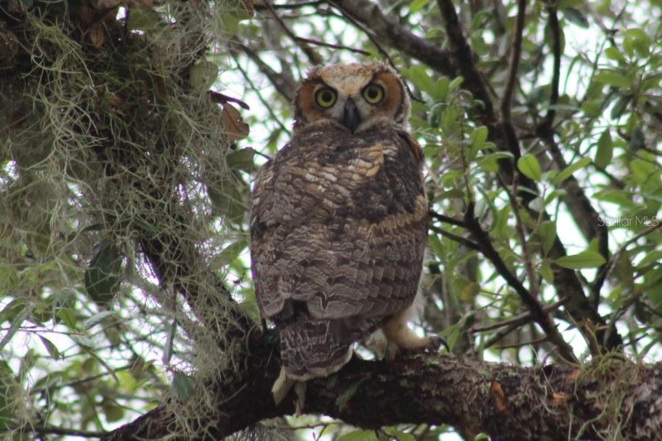 2498 RUSK CT, DELTONA, FL, 32738