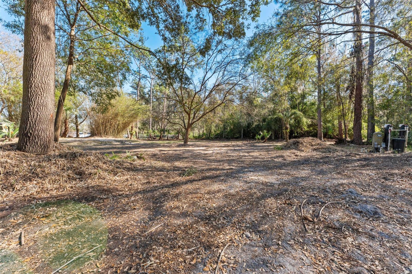 27814 QUAIL VIEW LN, WESLEY CHAPEL, FL, 33544