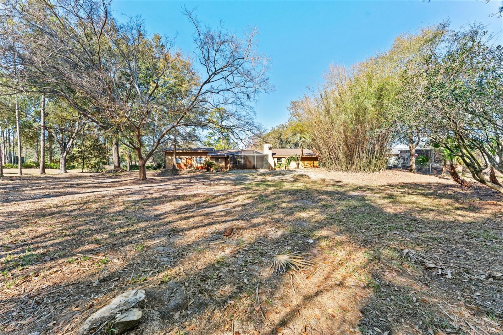 27814 QUAIL VIEW LN, WESLEY CHAPEL, FL, 33544