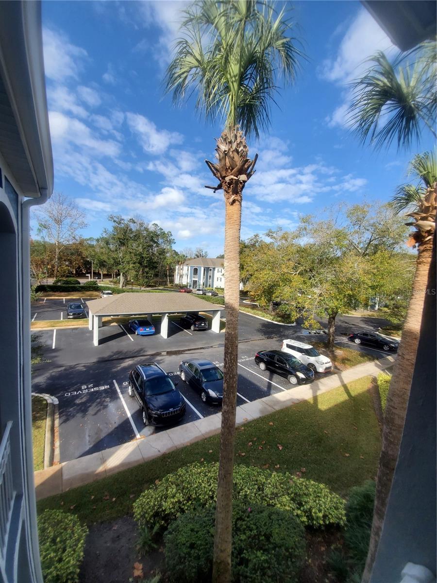 2304 CLUBSIDE DR #2304, LONGWOOD, FL, 32779