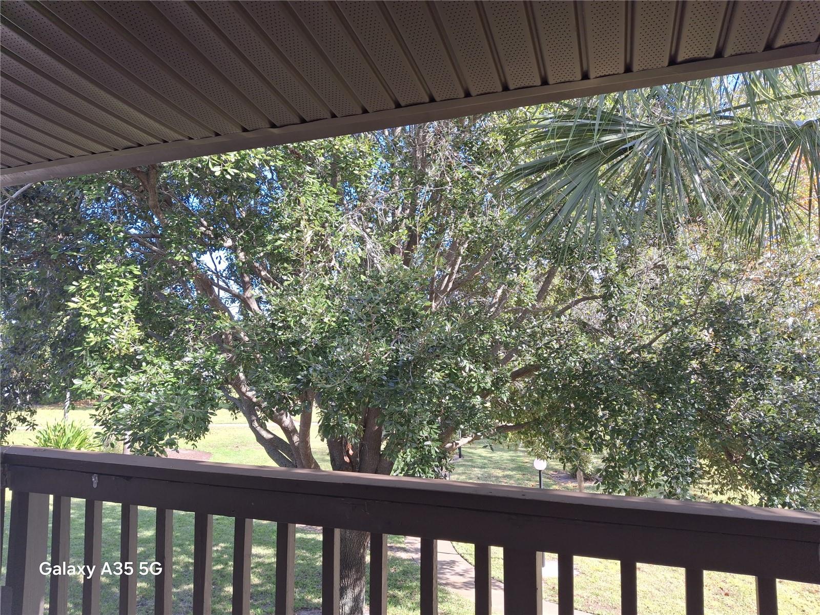 1695 LEE RD #B210, WINTER PARK, FL, 32789