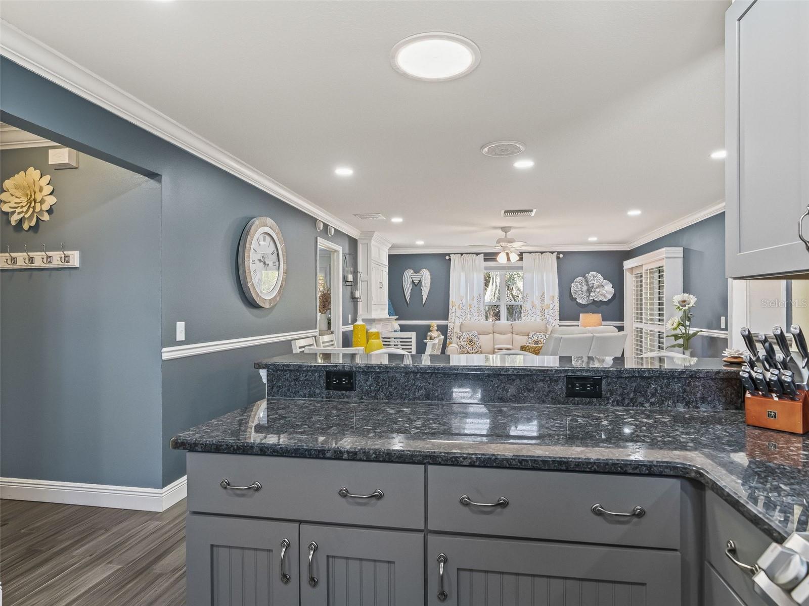 1106 BERKSHIRE PL, THE VILLAGES, FL, 32162