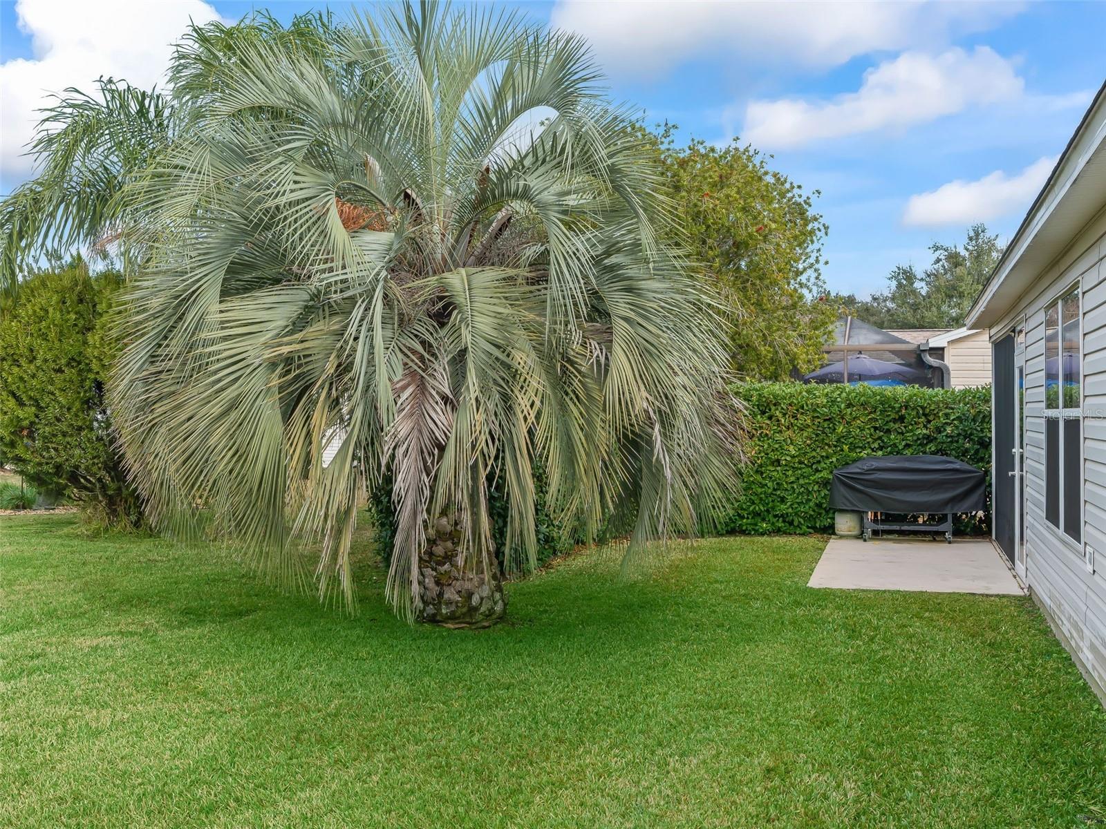 1106 BERKSHIRE PL, THE VILLAGES, FL, 32162