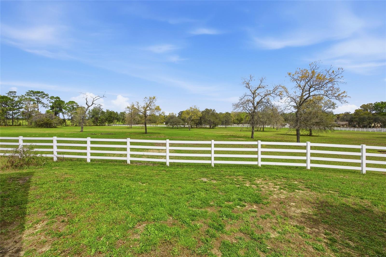 10532 SW 27TH AVE, OCALA, FL, 34476