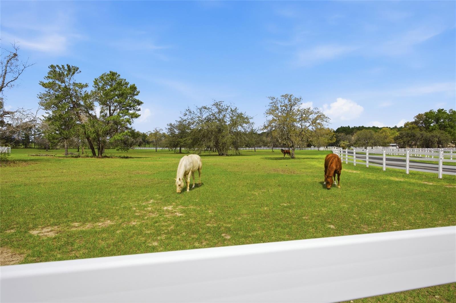 10532 SW 27TH AVE, OCALA, FL, 34476