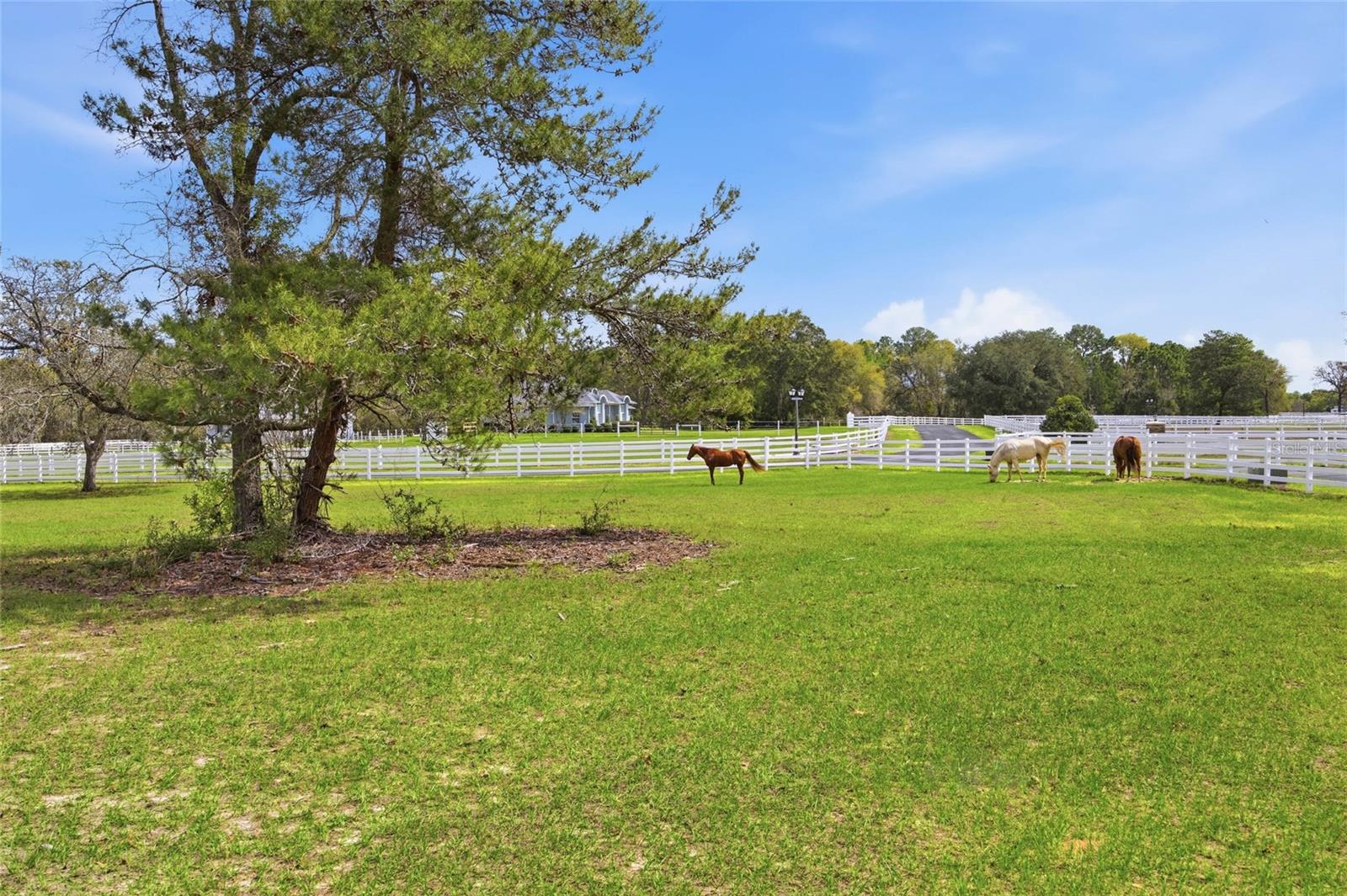 10532 SW 27TH AVE, OCALA, FL, 34476