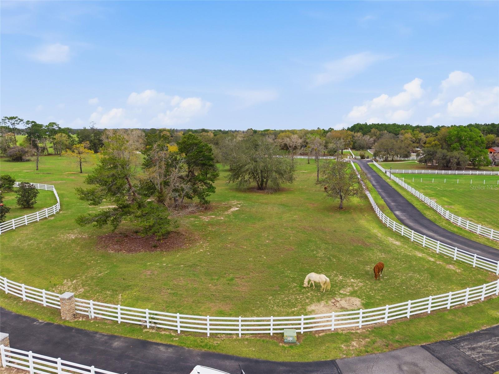 10532 SW 27TH AVE, OCALA, FL, 34476