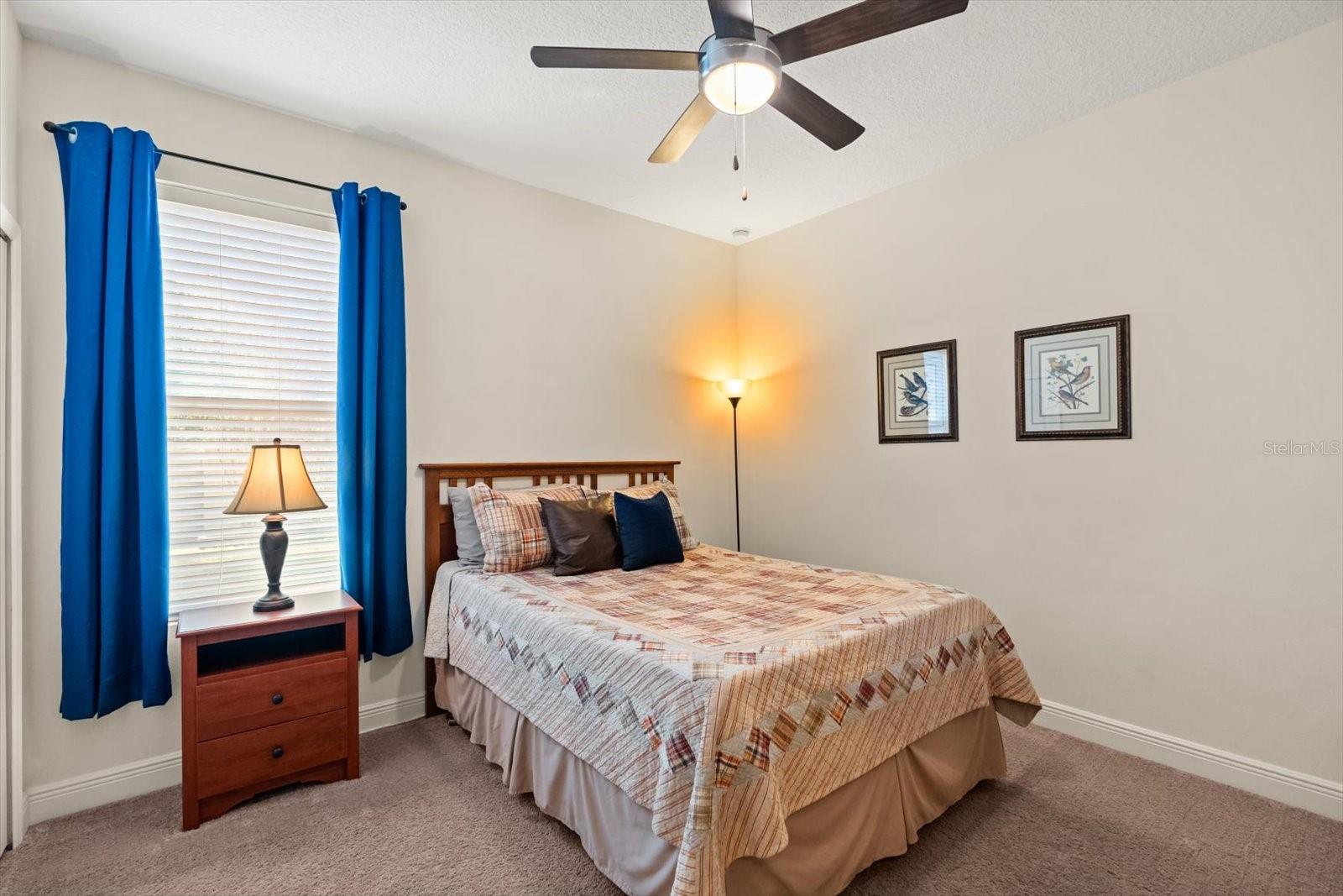 2709 TREE MEADOW LOOP, APOPKA, FL, 32712