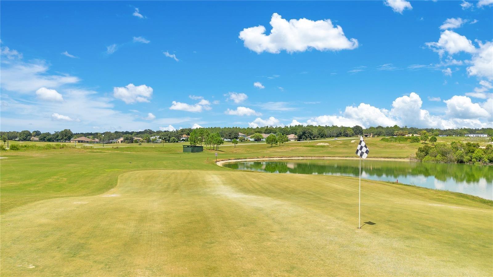 24008 SARDINIA DRIVE, SORRENTO, FL, 32776