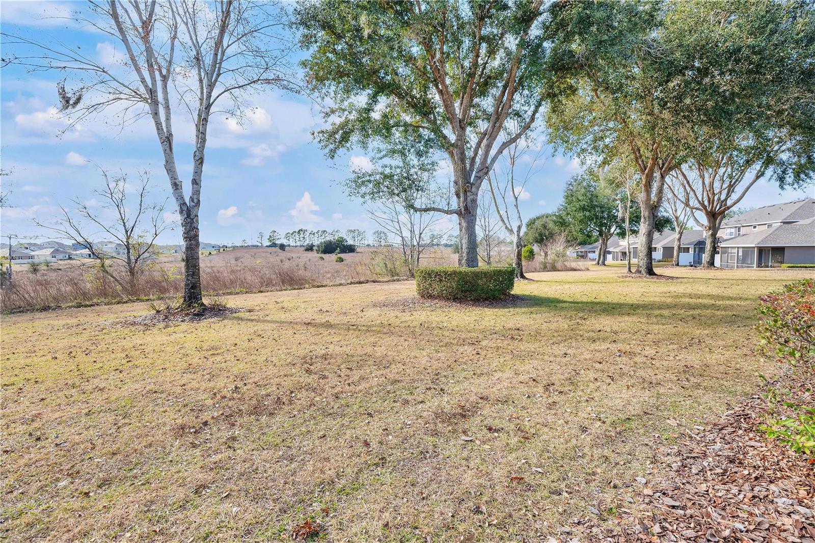 24008 SARDINIA DRIVE, SORRENTO, FL, 32776