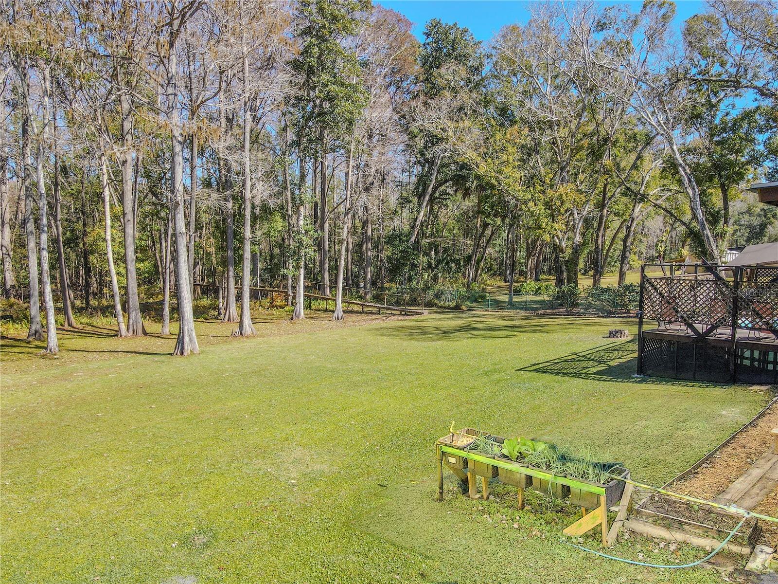 A wide, open lawn stretches toward a wooded backdrop, creating a peaceful buffer of cypress, oak, and maple trees that frame the property with natural privacy.