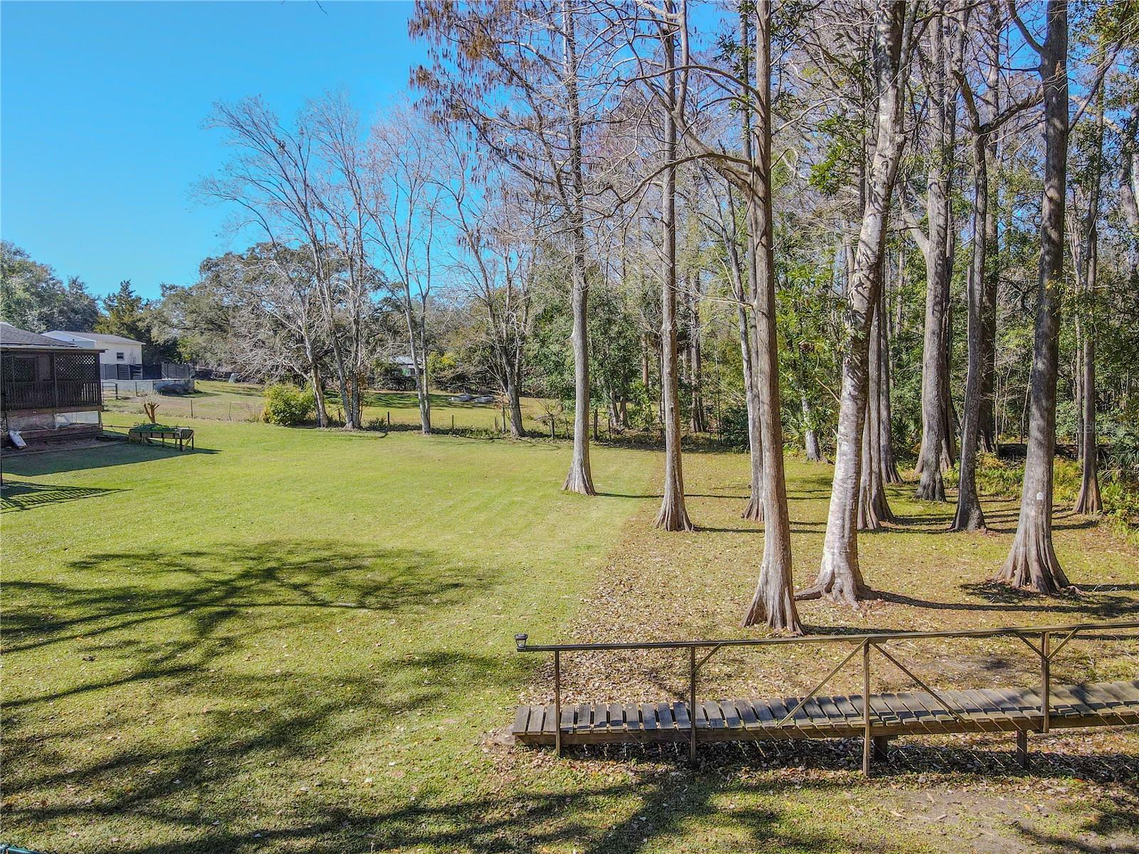 The property reveals its blend of open green space and mature woodland, creating a setting that feels both expansive and tucked into nature.