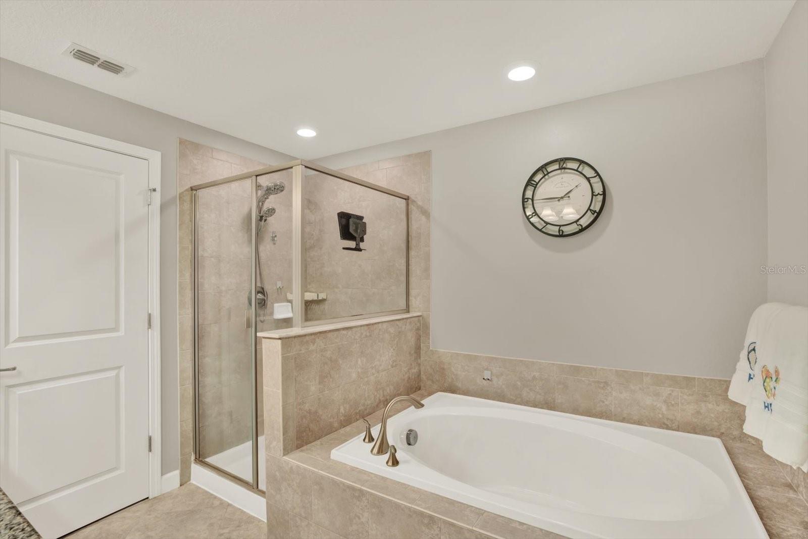 Garden Tub/Walk In Shower