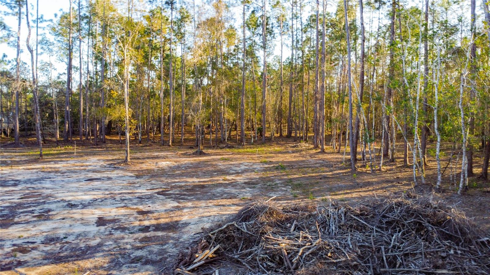 0 STATE ROAD 33, CLERMONT, FL, 34714