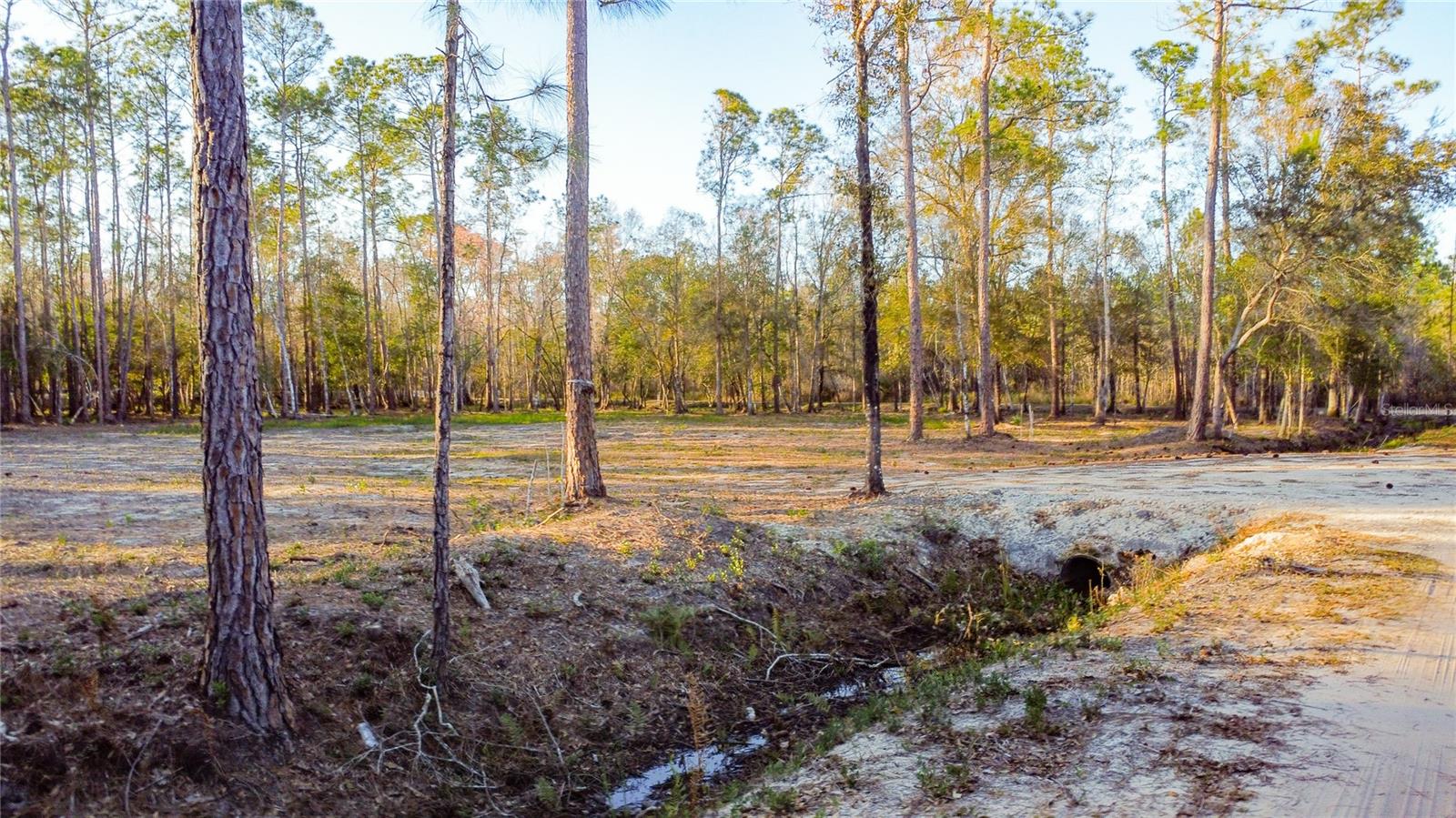 0 STATE ROAD 33, CLERMONT, FL, 34714