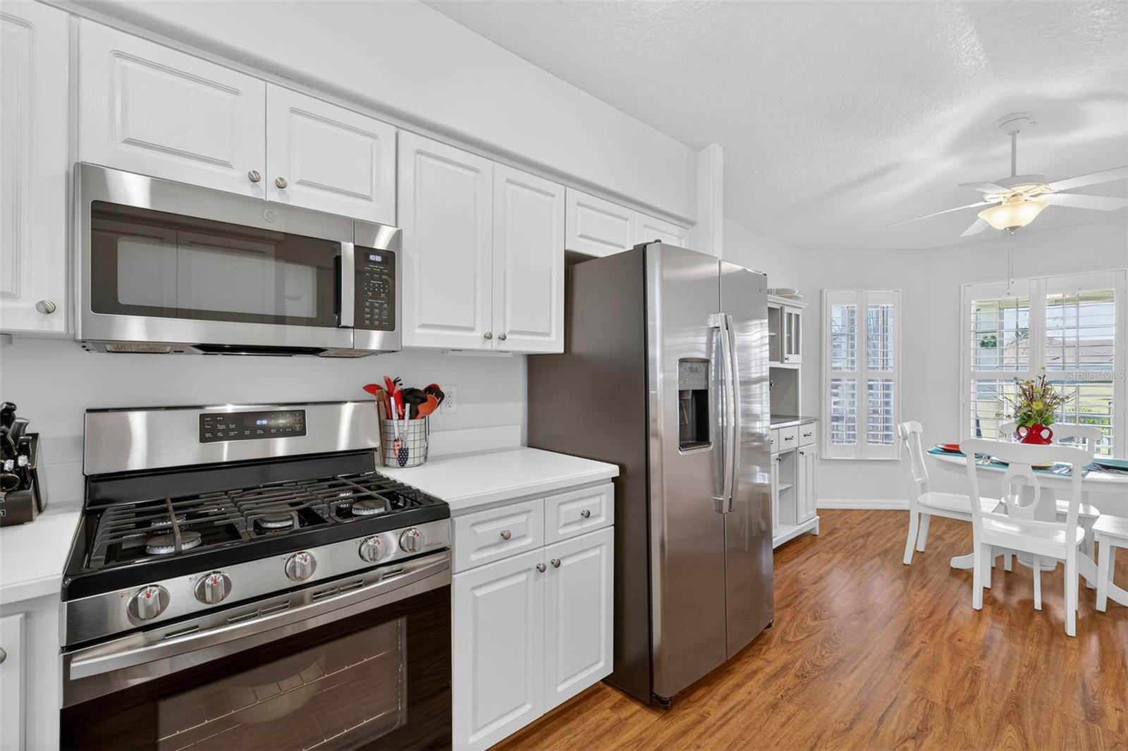 26705 WETLANDS WAY, LEESBURG, FL, 34748