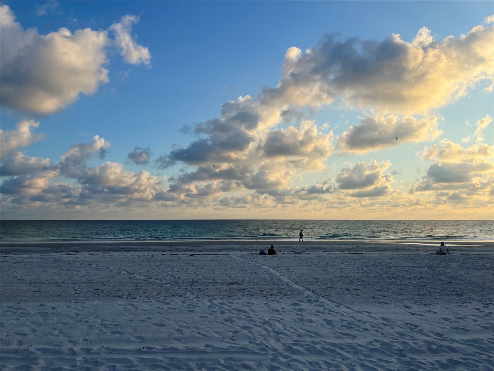 1329 ROYAL PALM DR S, ST PETERSBURG, FL, 33707