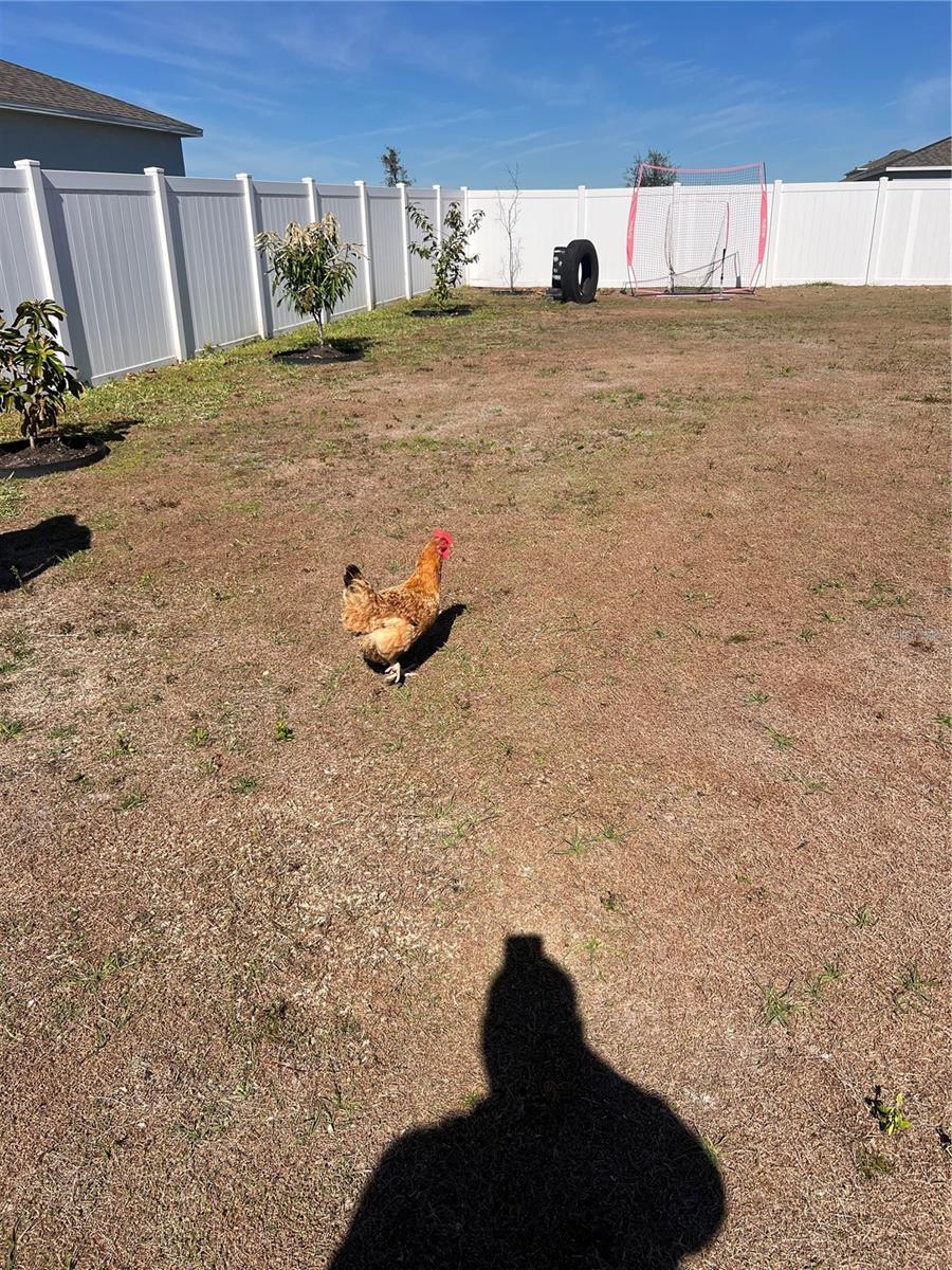 206 AMBER WAY, KISSIMMEE, FL, 34758