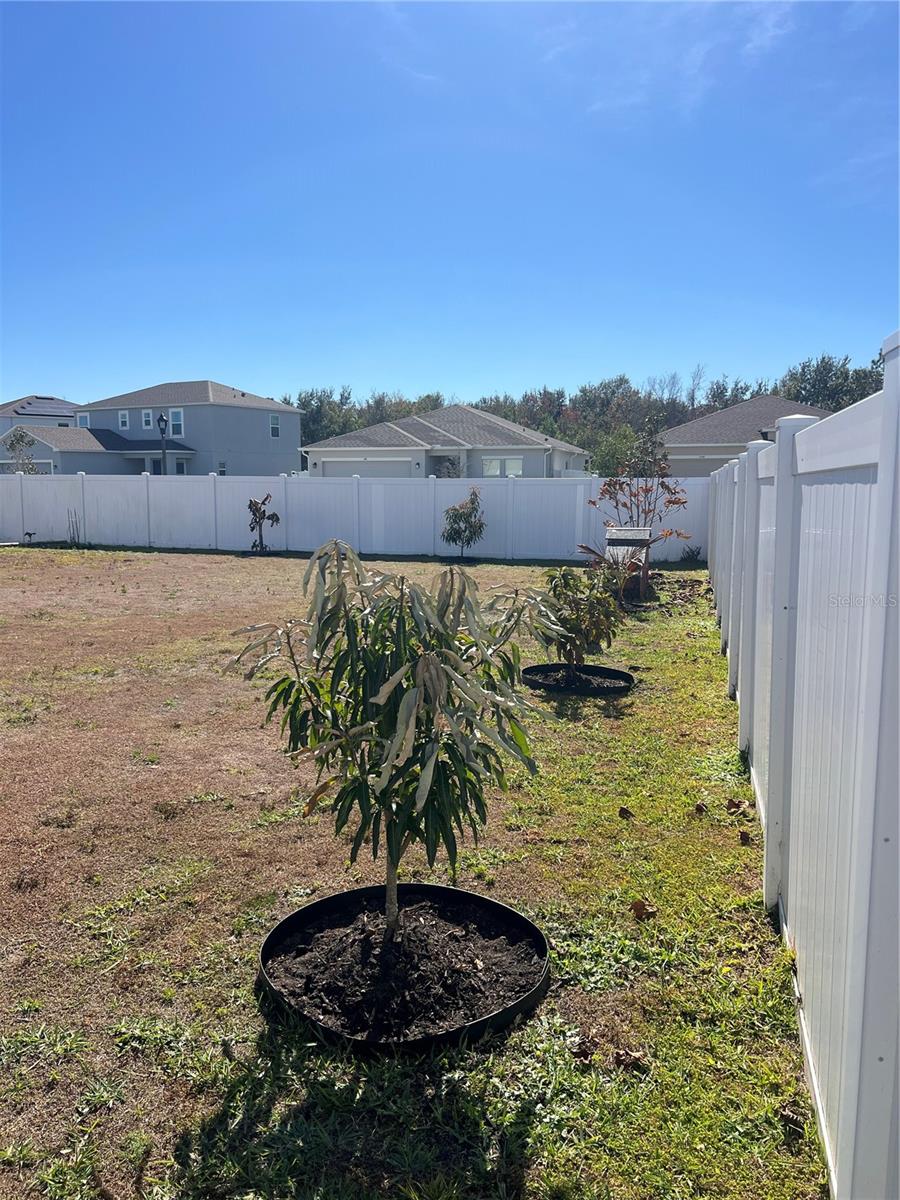 206 AMBER WAY, KISSIMMEE, FL, 34758