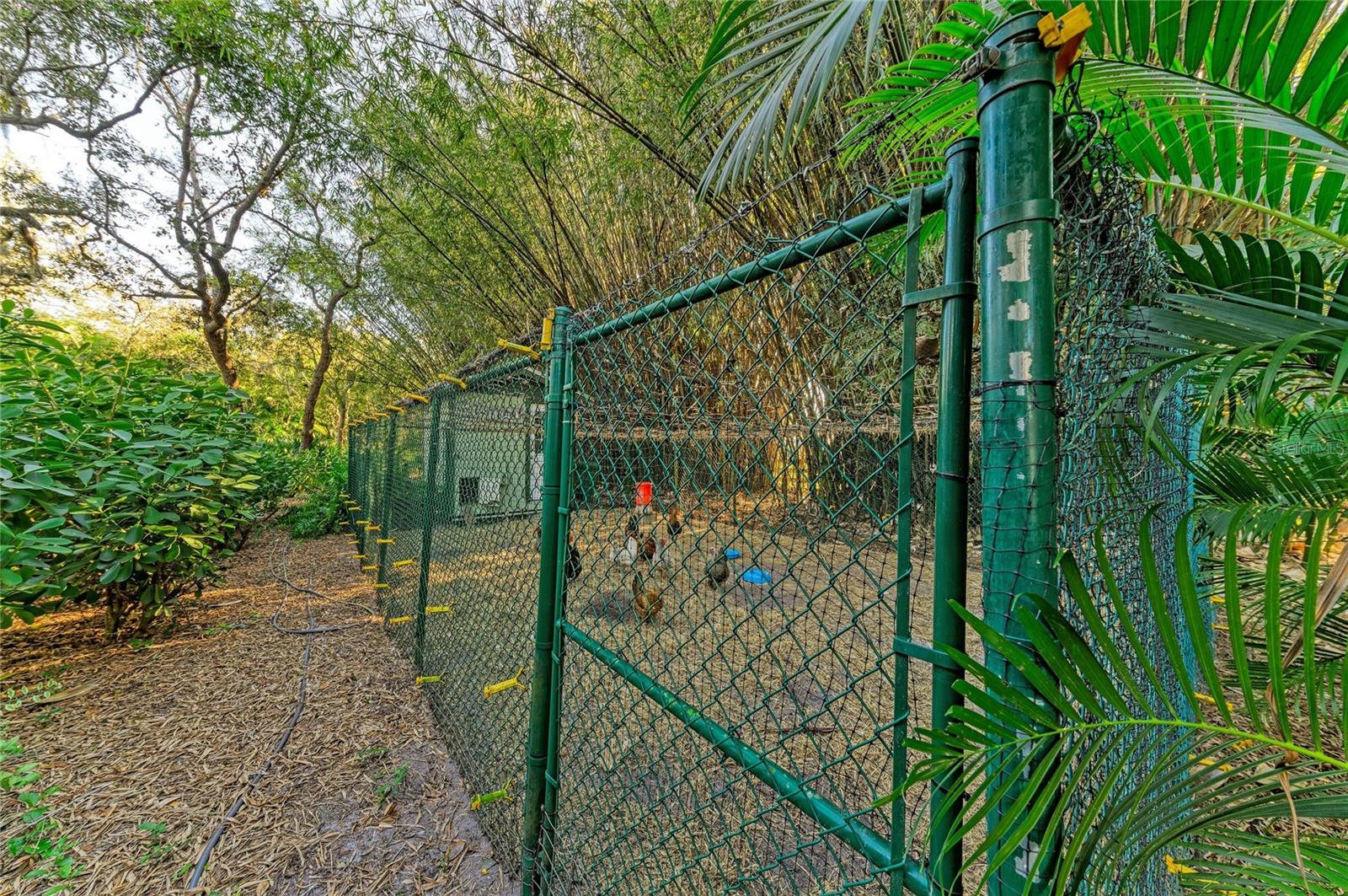 39321 WASHINGTON LOOP RD, PUNTA GORDA, FL, 33982