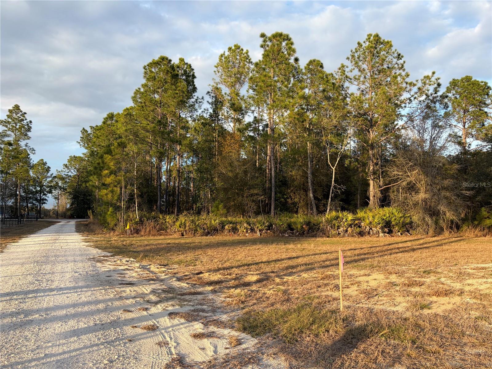 OIL WELL RD, CLERMONT, FL, 34714