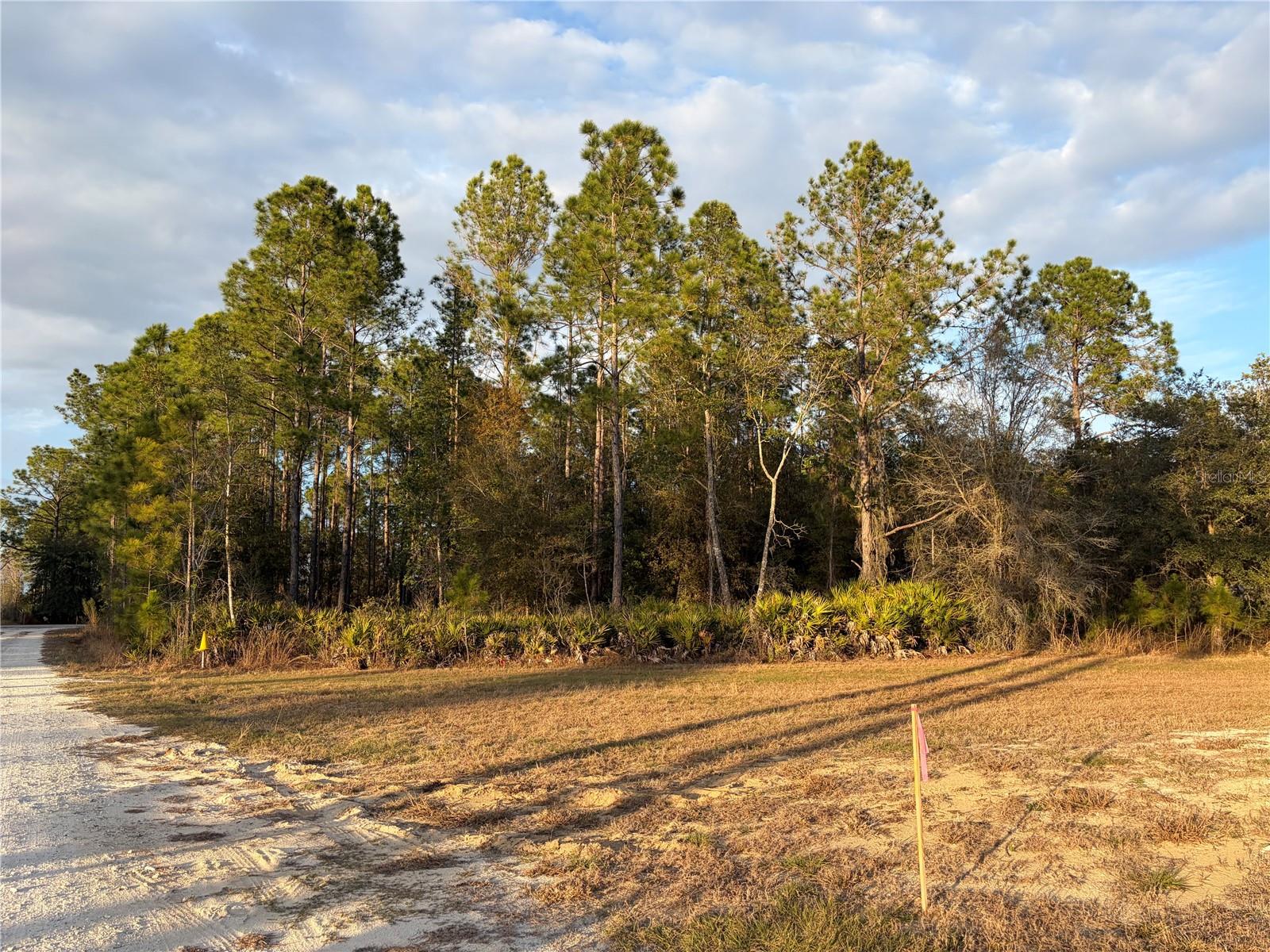 OIL WELL RD, CLERMONT, FL, 34714
