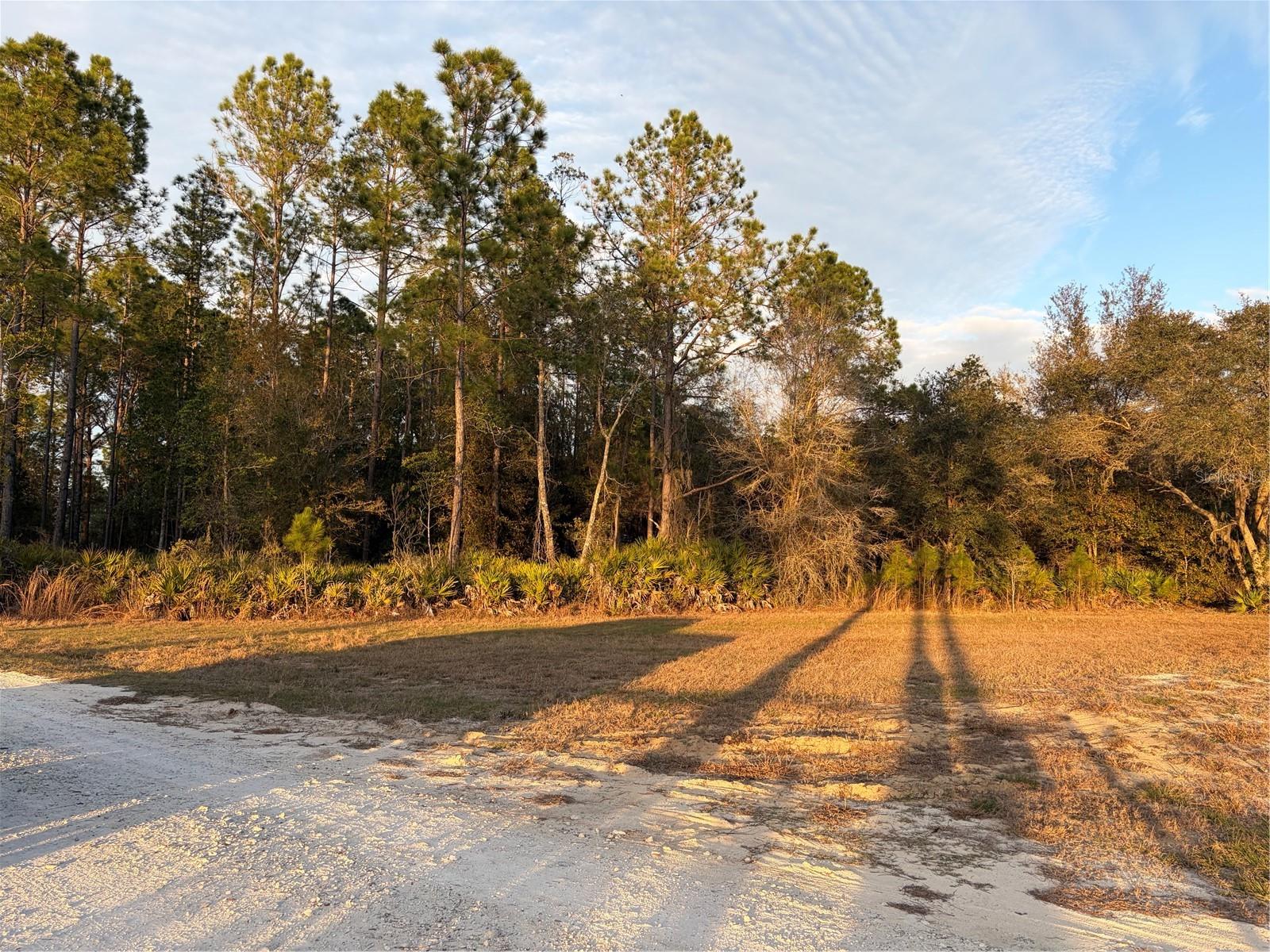 OIL WELL RD, CLERMONT, FL, 34714