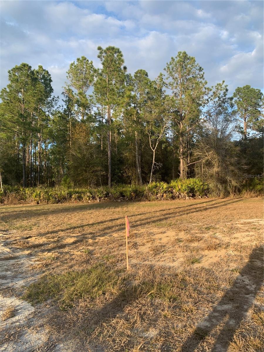 OIL WELL RD, CLERMONT, FL, 34714