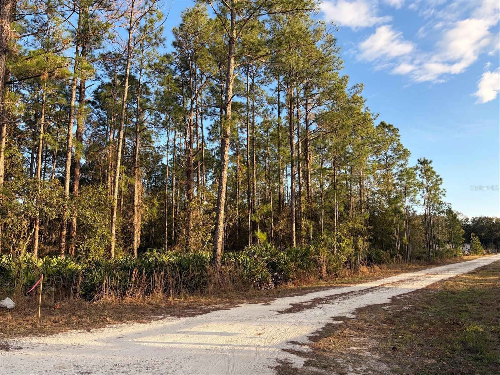 OIL WELL RD, CLERMONT, FL, 34714