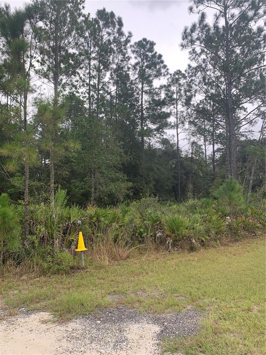 OIL WELL RD, CLERMONT, FL, 34714