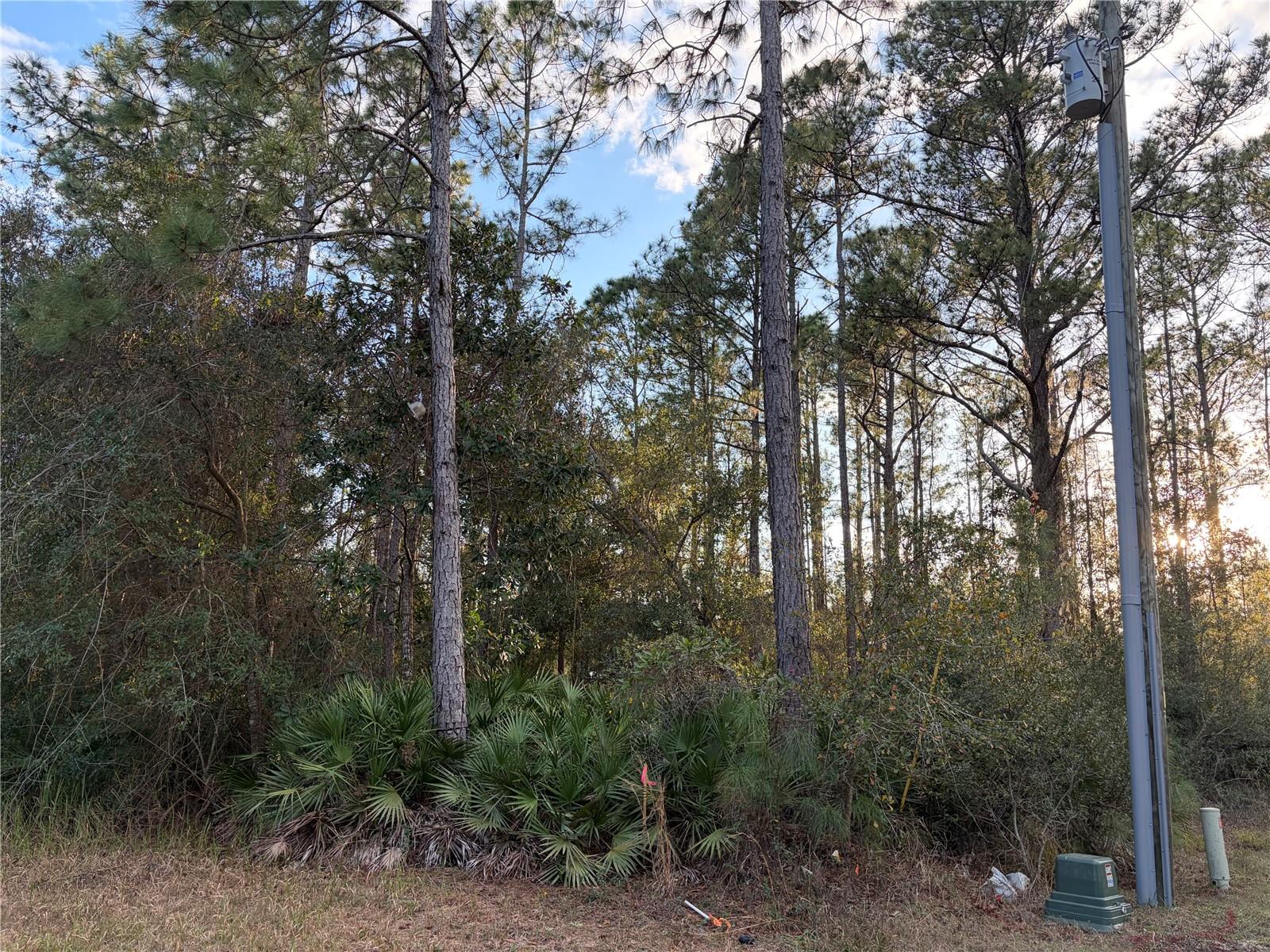 OIL WELL RD, CLERMONT, FL, 34714