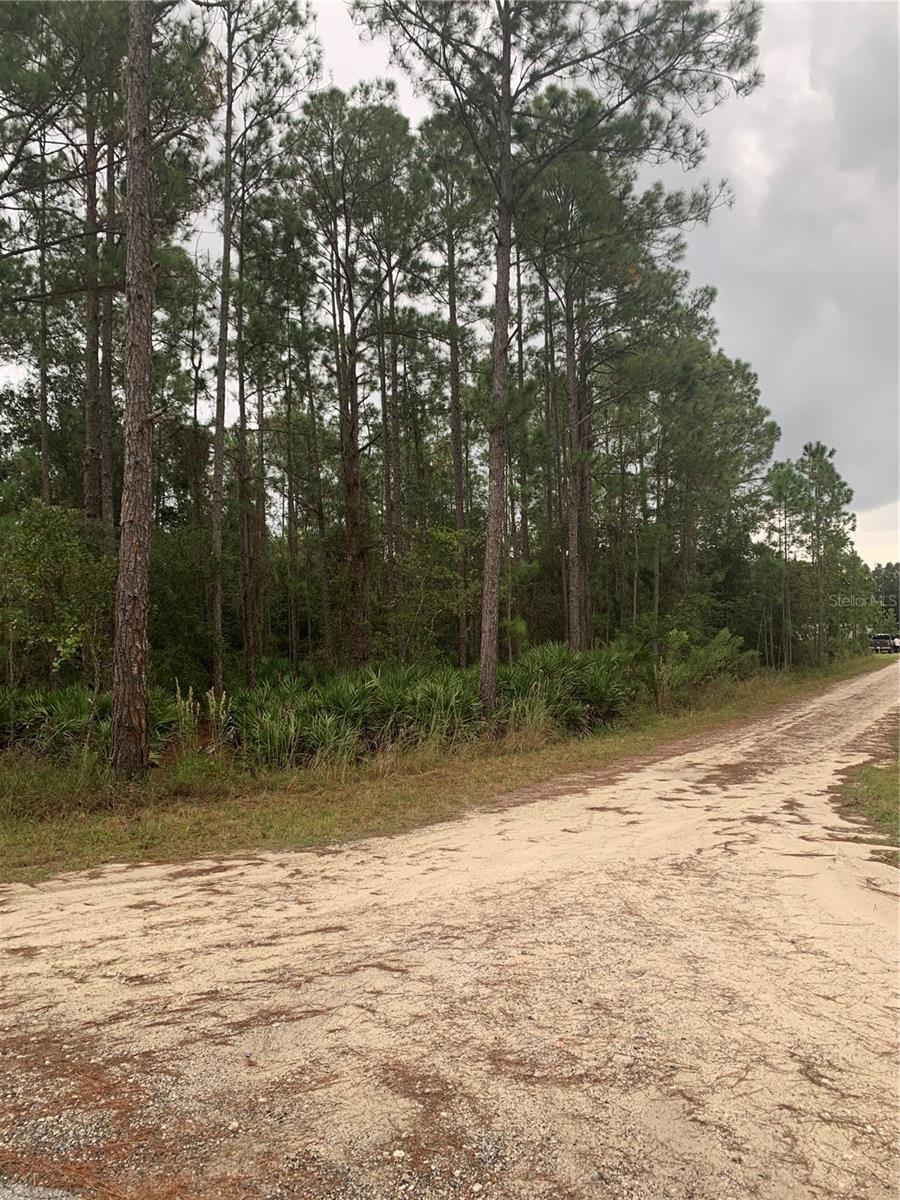 OIL WELL RD, CLERMONT, FL, 34714