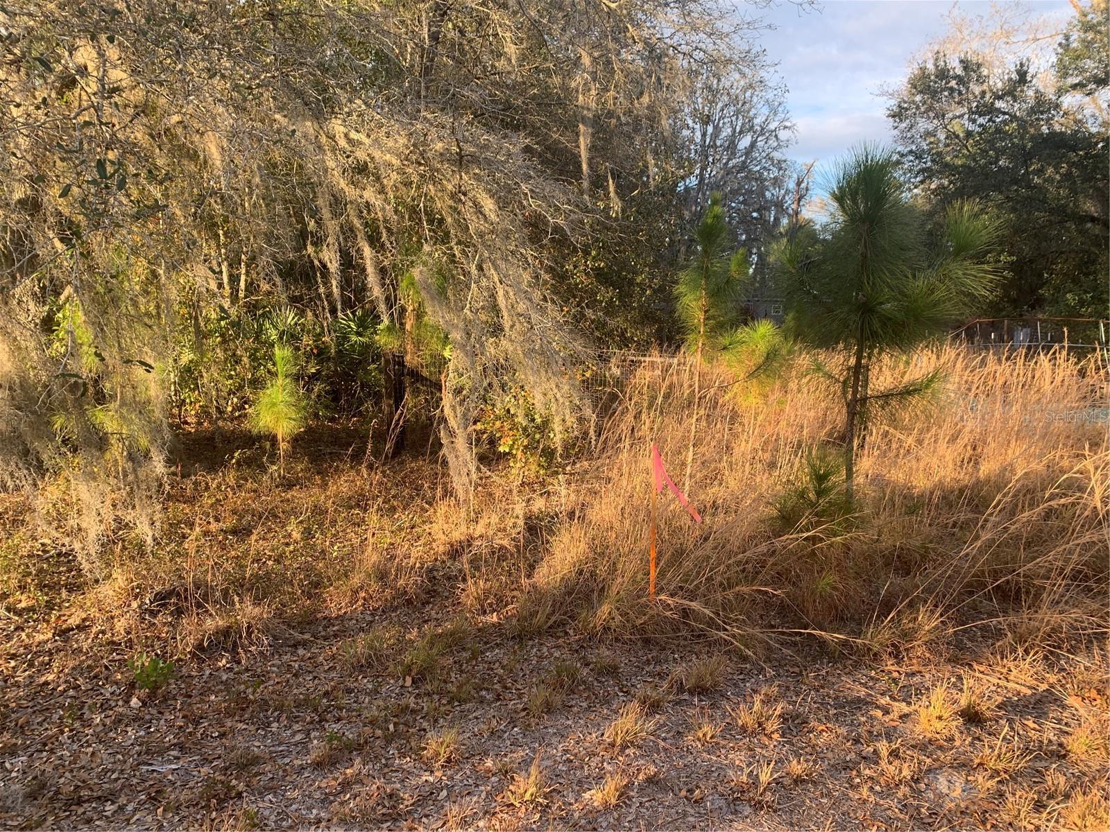 OIL WELL RD, CLERMONT, FL, 34714