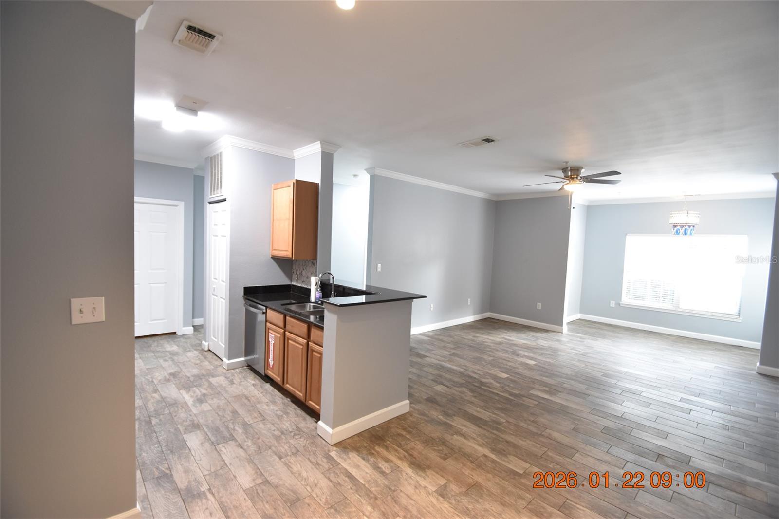 18573 BRIDLE CLUB DR #18573, TAMPA, FL, 33647