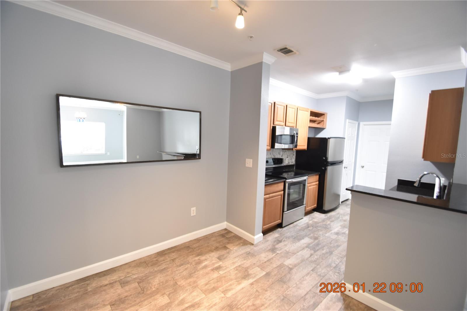 18573 BRIDLE CLUB DR #18573, TAMPA, FL, 33647