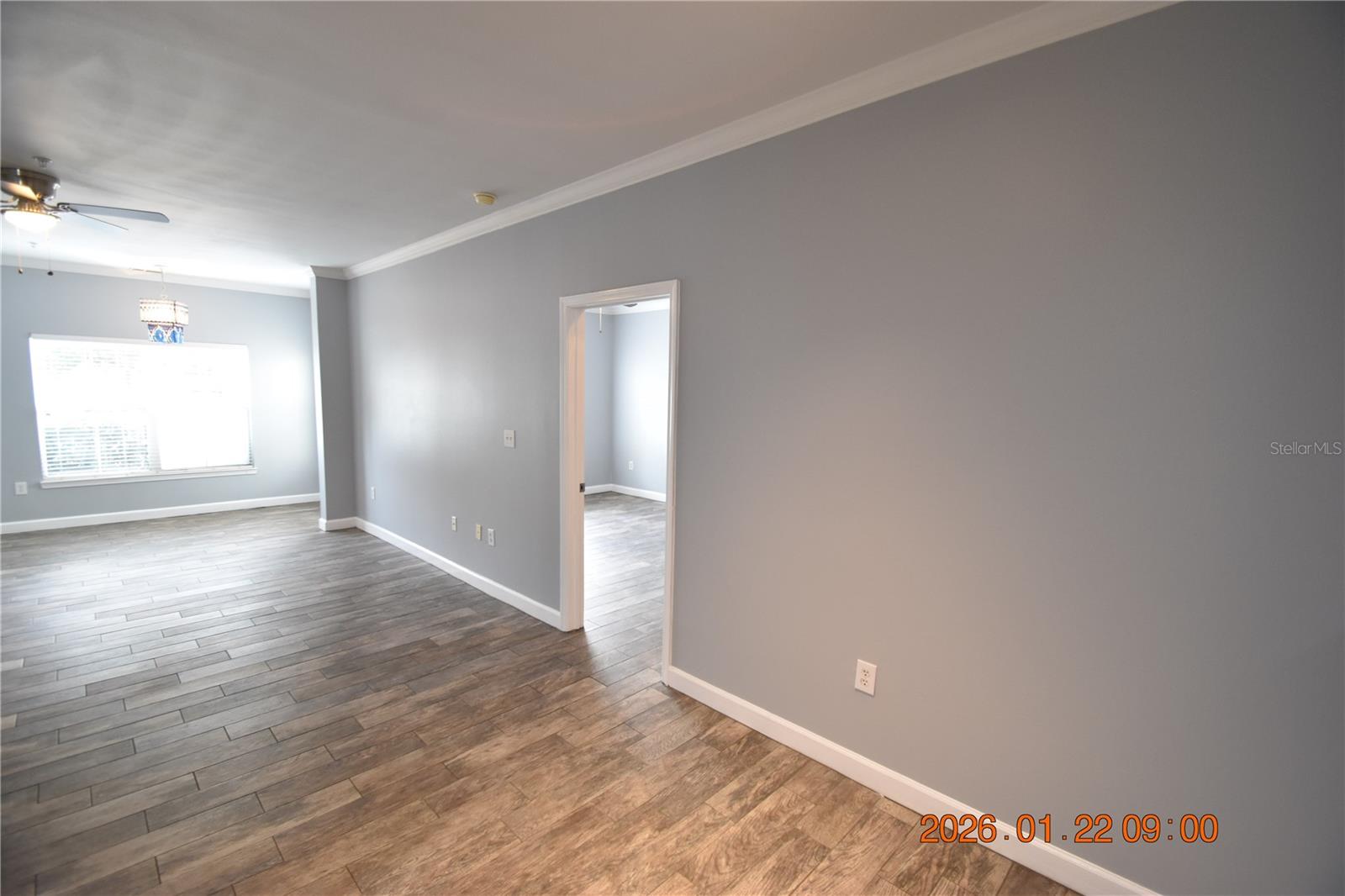 18573 BRIDLE CLUB DR #18573, TAMPA, FL, 33647