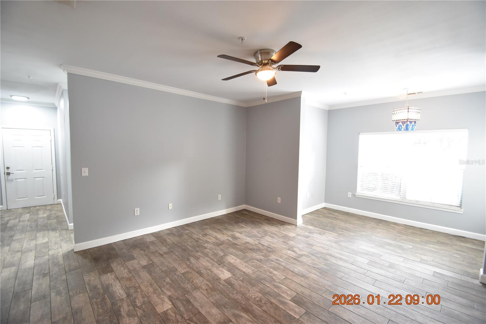 18573 BRIDLE CLUB DR #18573, TAMPA, FL, 33647