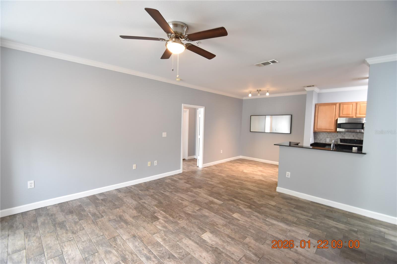 18573 BRIDLE CLUB DR #18573, TAMPA, FL, 33647