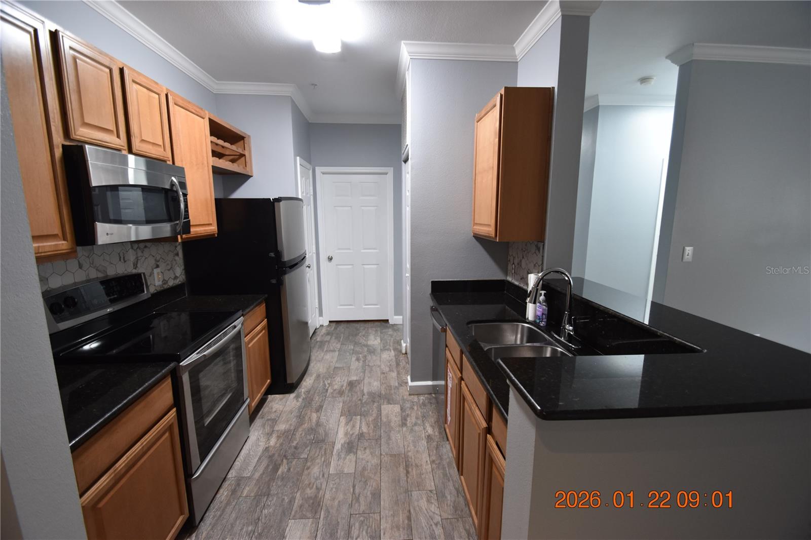 18573 BRIDLE CLUB DR #18573, TAMPA, FL, 33647