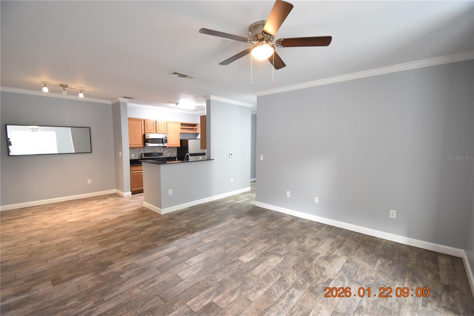 18573 BRIDLE CLUB DR #18573, TAMPA, FL, 33647