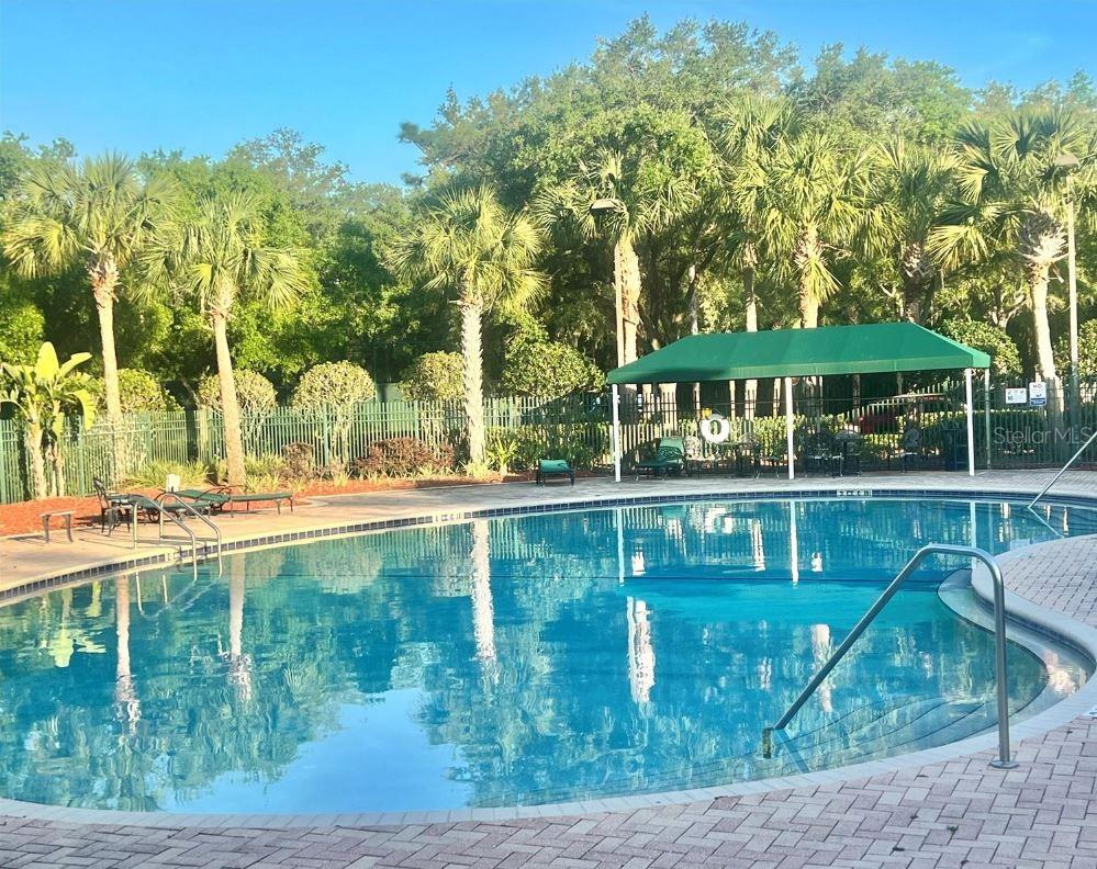 18573 BRIDLE CLUB DR #18573, TAMPA, FL, 33647