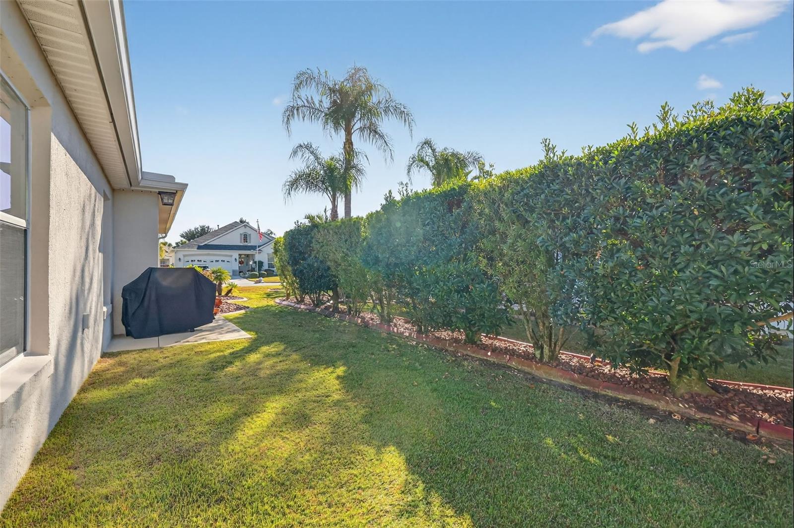 650 SURFSIDE LN, THE VILLAGES, FL, 32162