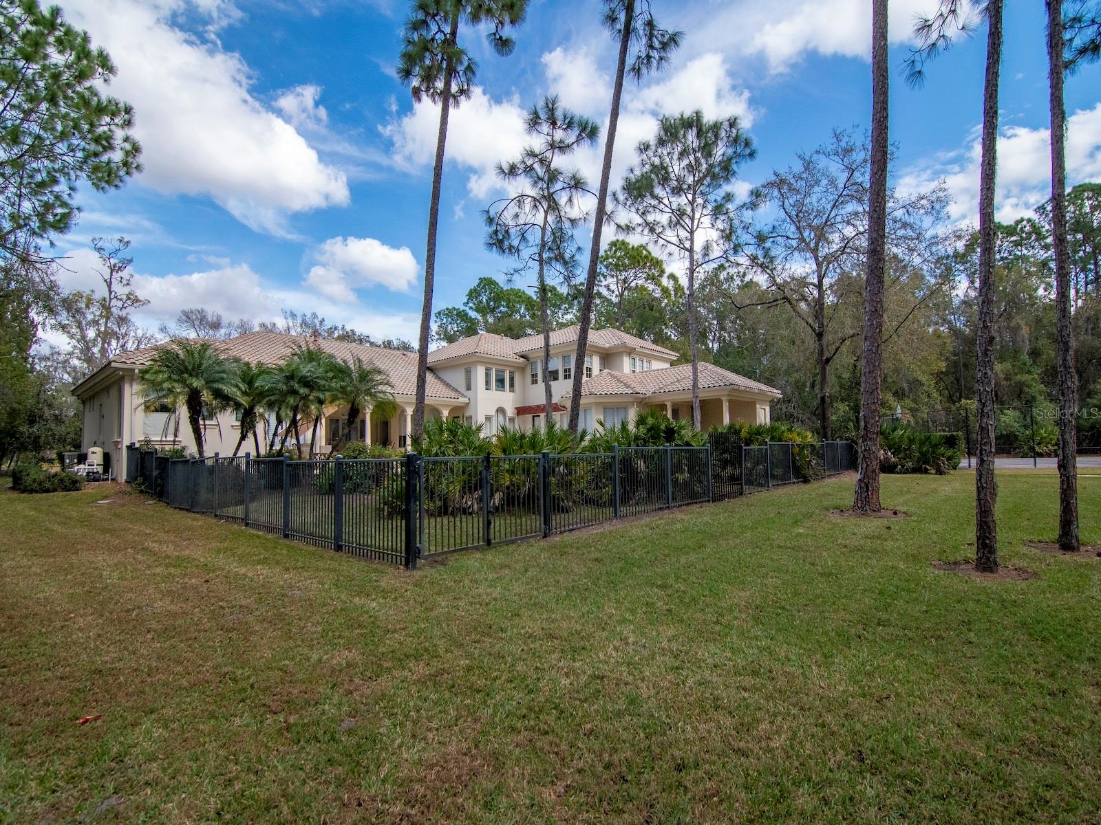 Spacious and private backyard