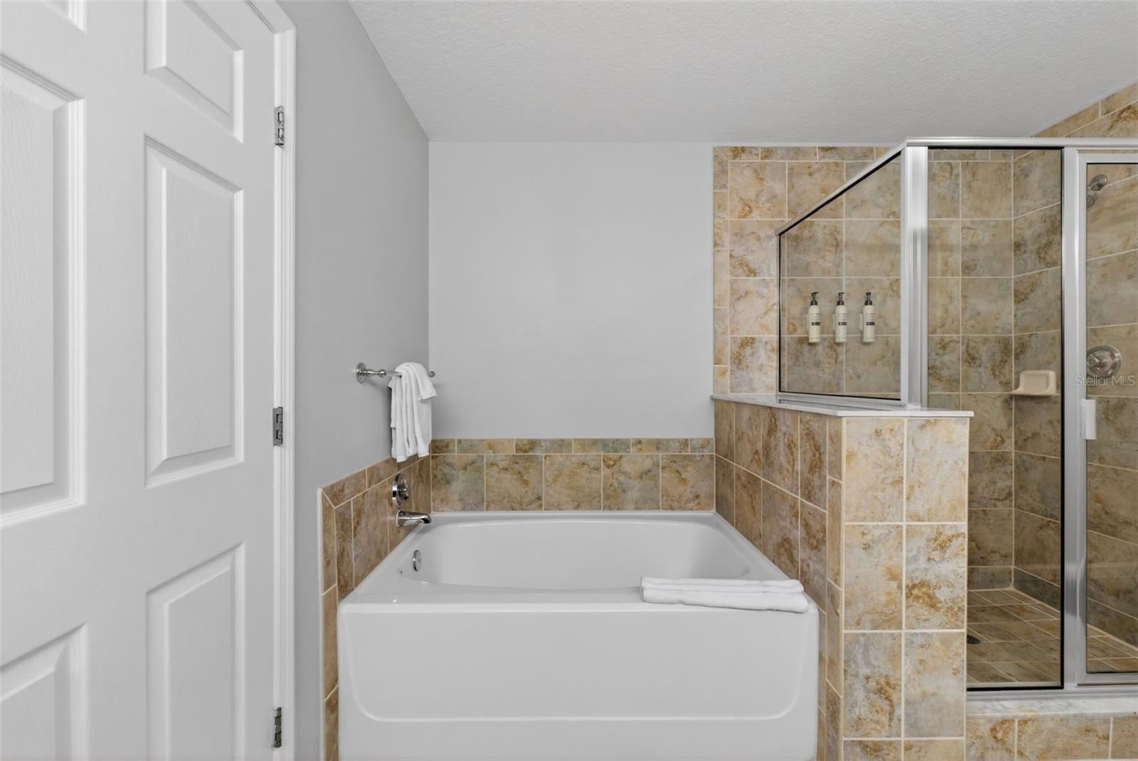 14501 GROVE RESORT AVE #1528, WINTER GARDEN, FL, 34787