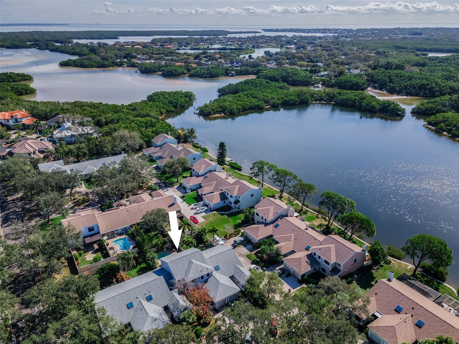 Caya costa community aerial view