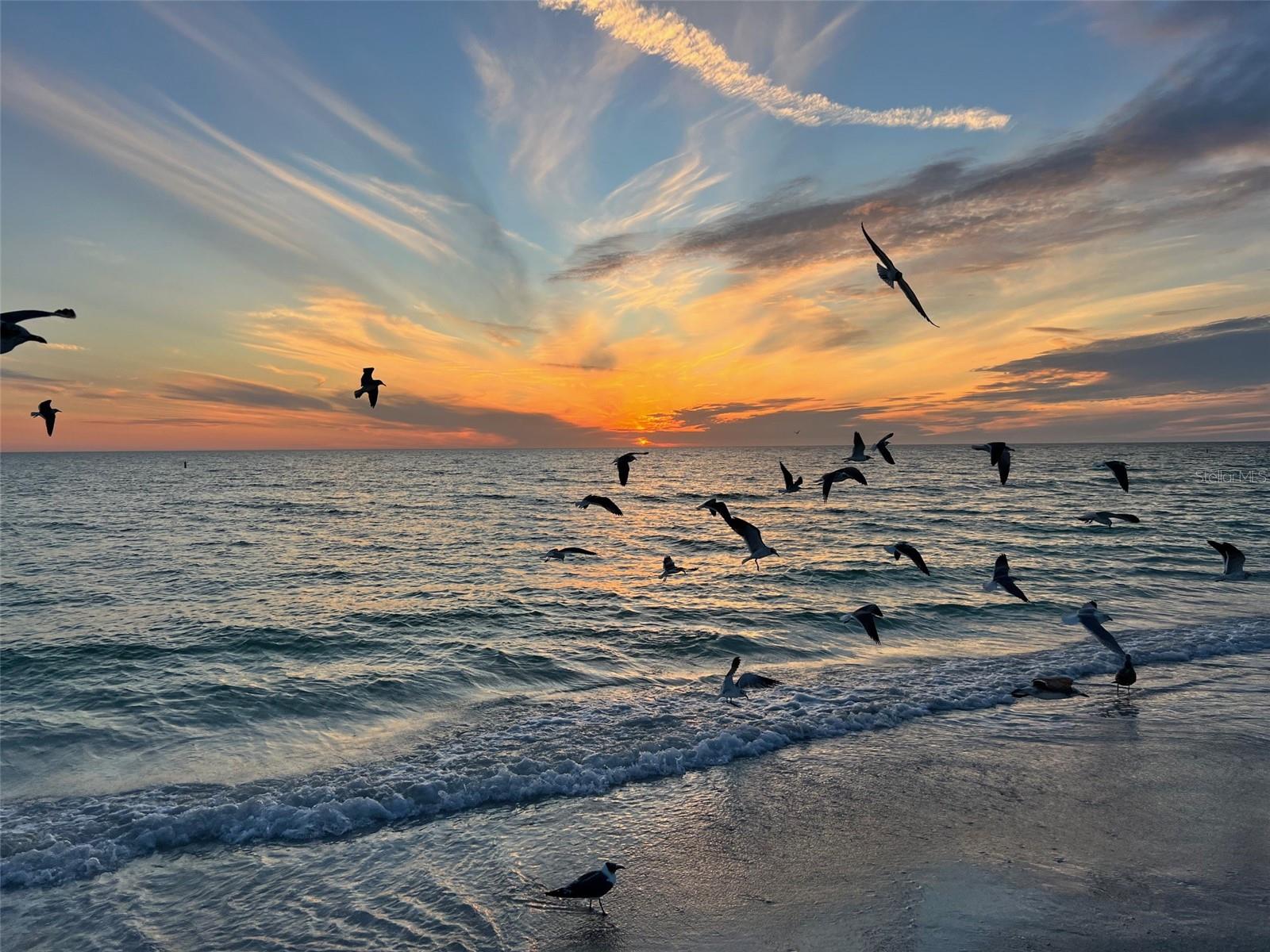 800 S BLVD OF THE PRESIDENTS #9, SARASOTA, FL, 34236