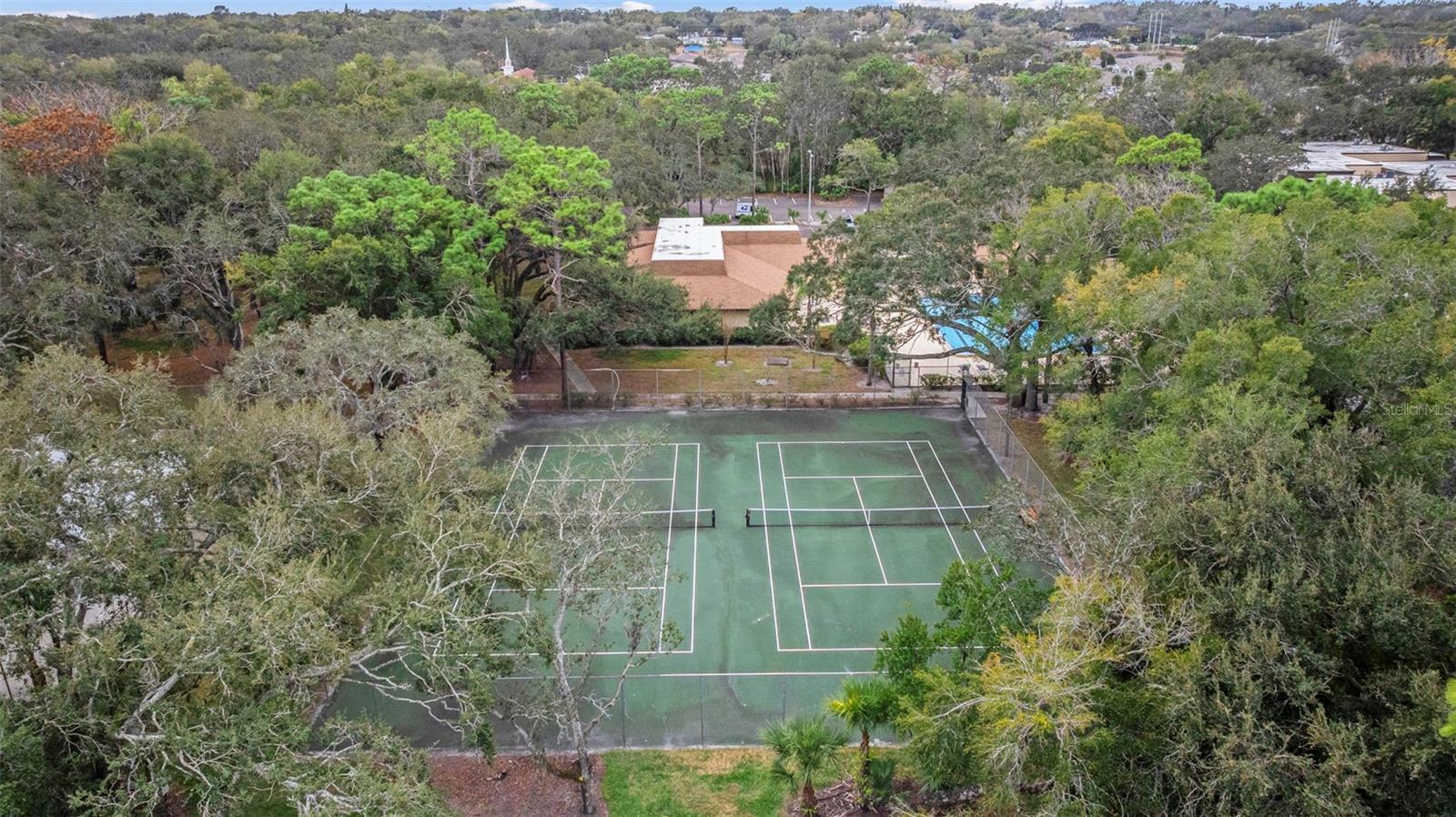 11859 SKYLAKE PL #N/A, TEMPLE TERRACE, FL, 33617