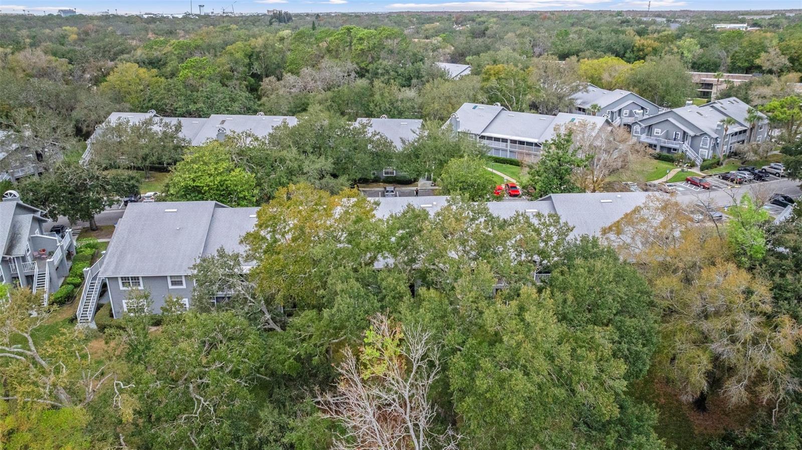 11859 SKYLAKE PL #N/A, TEMPLE TERRACE, FL, 33617