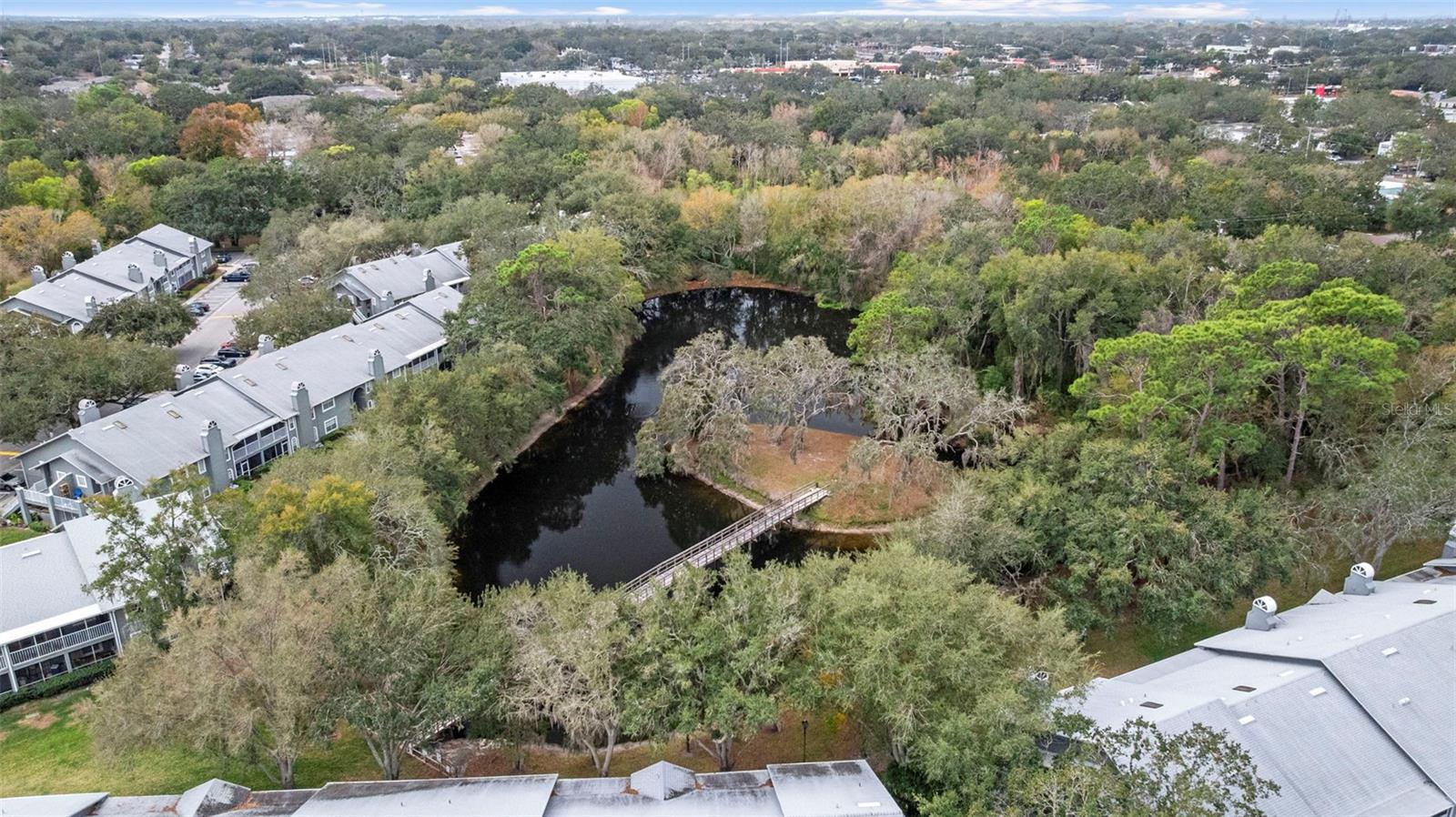 11859 SKYLAKE PL #N/A, TEMPLE TERRACE, FL, 33617