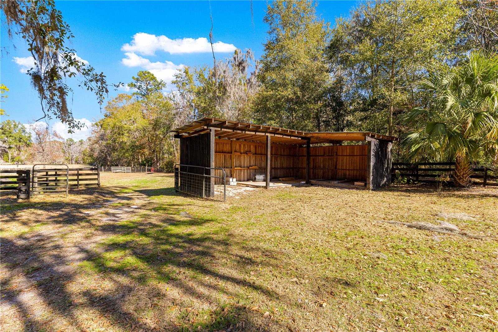 9145 NW 193 ST, MICANOPY, FL, 32667